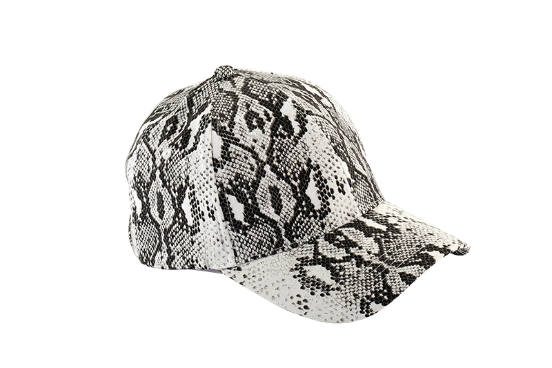 青岛棒球帽FDR_8891